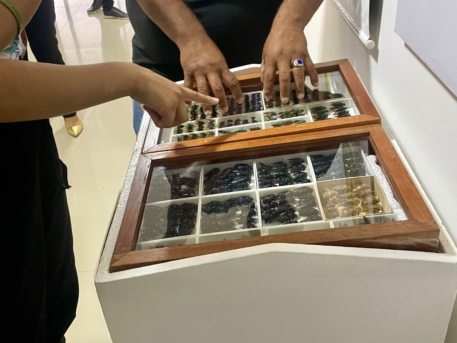 35 ANOS DO ECA – Judiciário promove intercâmbio cultural para adolescentes do sistema socioeducativo de Roraima