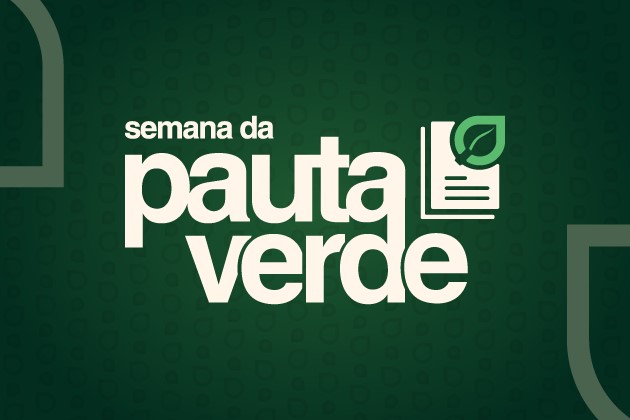 Semana da Pauta Verde vai priorizar julgamento de processos ambientais entre 18 e 22 de agosto