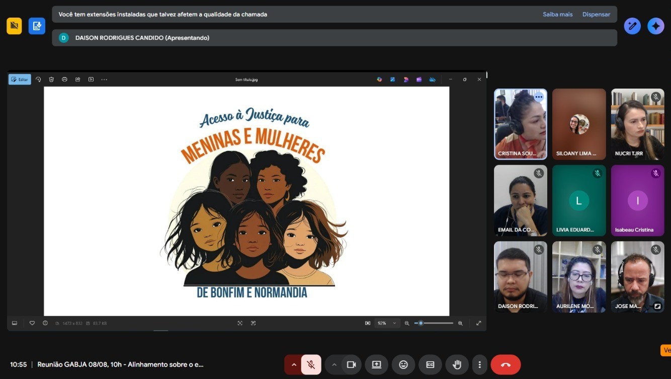 Imagem mostra uma captura de tela de uma reunião virtual com nove participantes visíveis em janelas de vídeo. Ao centro da tela está sendo apresentada a imagem do projeto com a ilustração das meninas e o texto “Acesso à Justiça para Meninas e Mulheres de Bonfim e Normandia”.