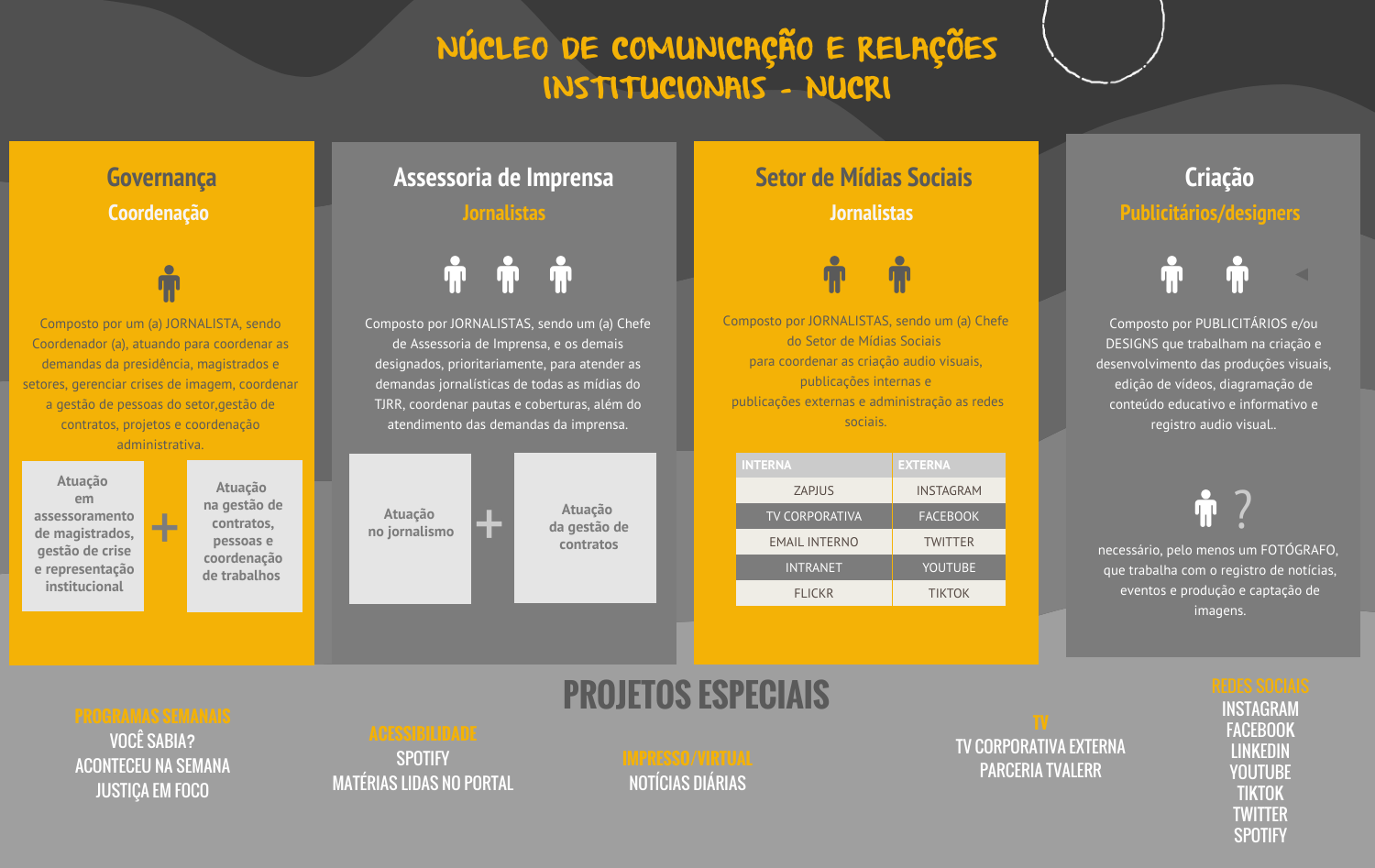 Infográfico explicativo Composição e Organograma NUCRI